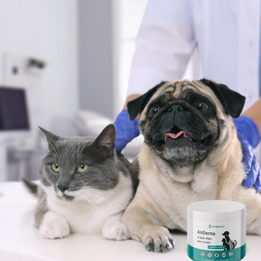 AniDerma - za lepšo in močnejšo dlako psov in mačk