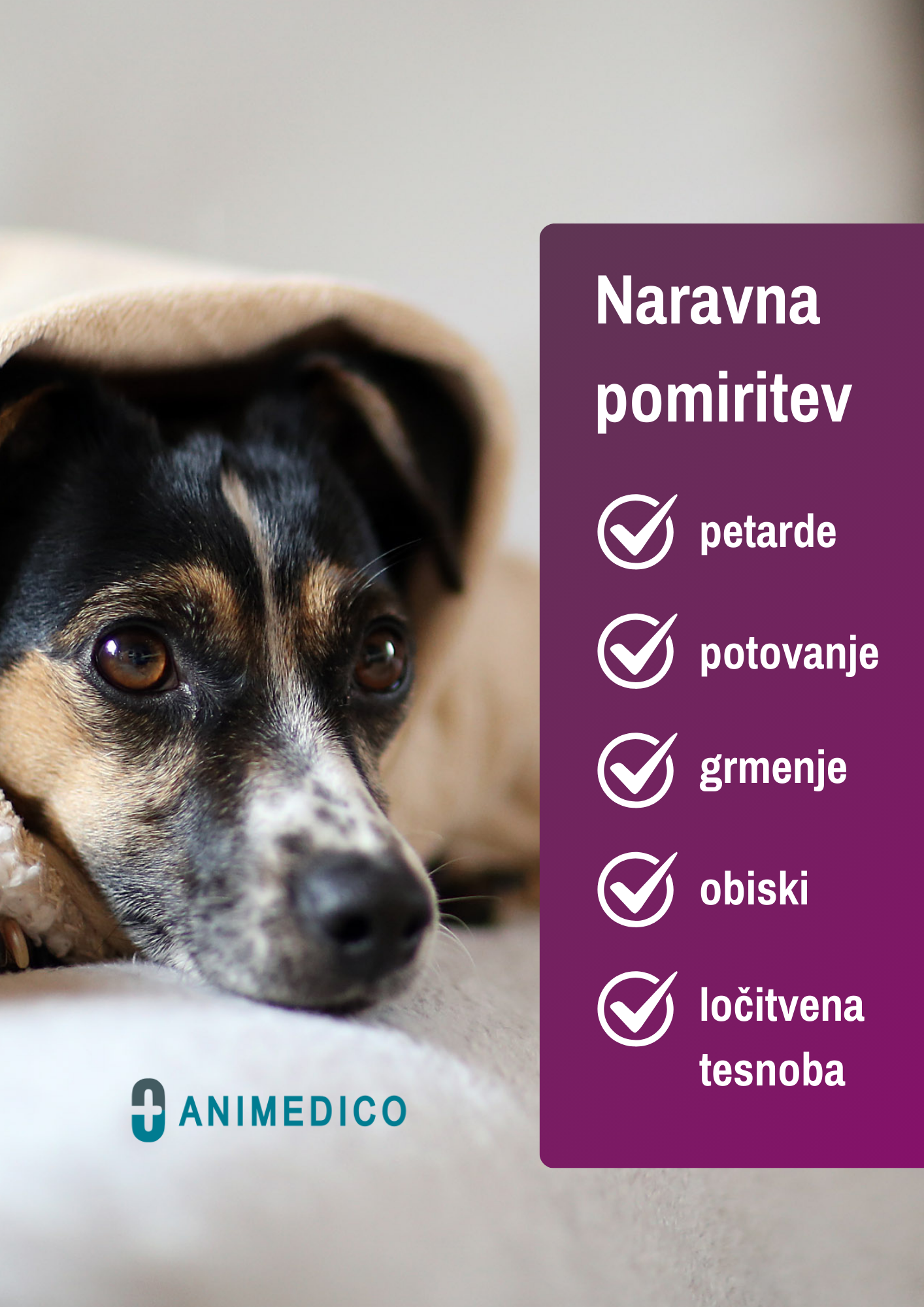 CalmCore - naravna alternativa pomirjevalu za pse in mačke