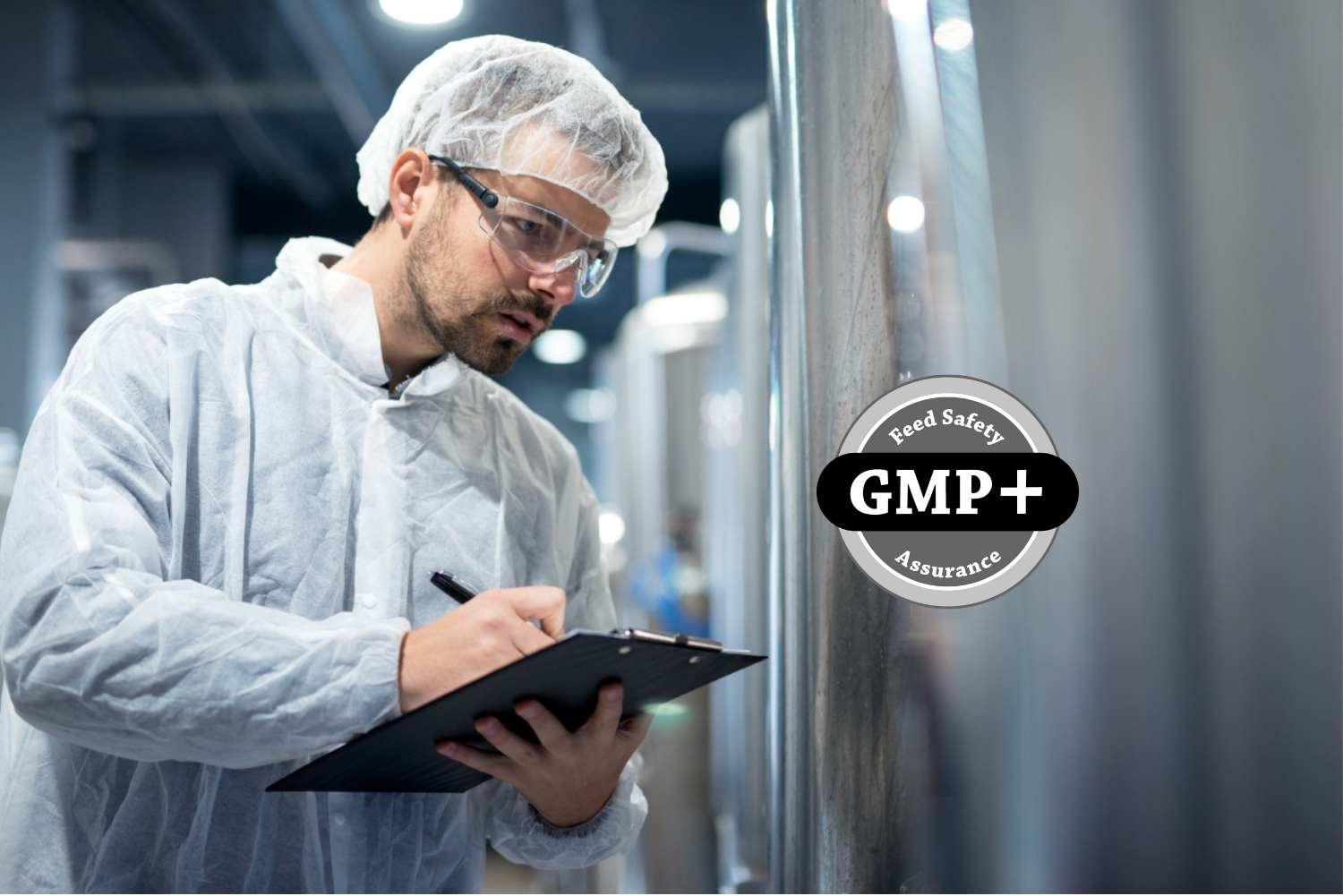 man checking GMP+