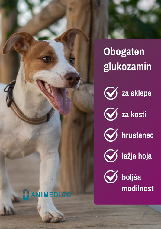 GlucoCanin - obogaten glukozamin za pse