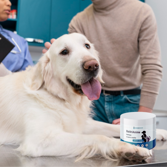 BaldriAnime - baldrijan za pse in mačke