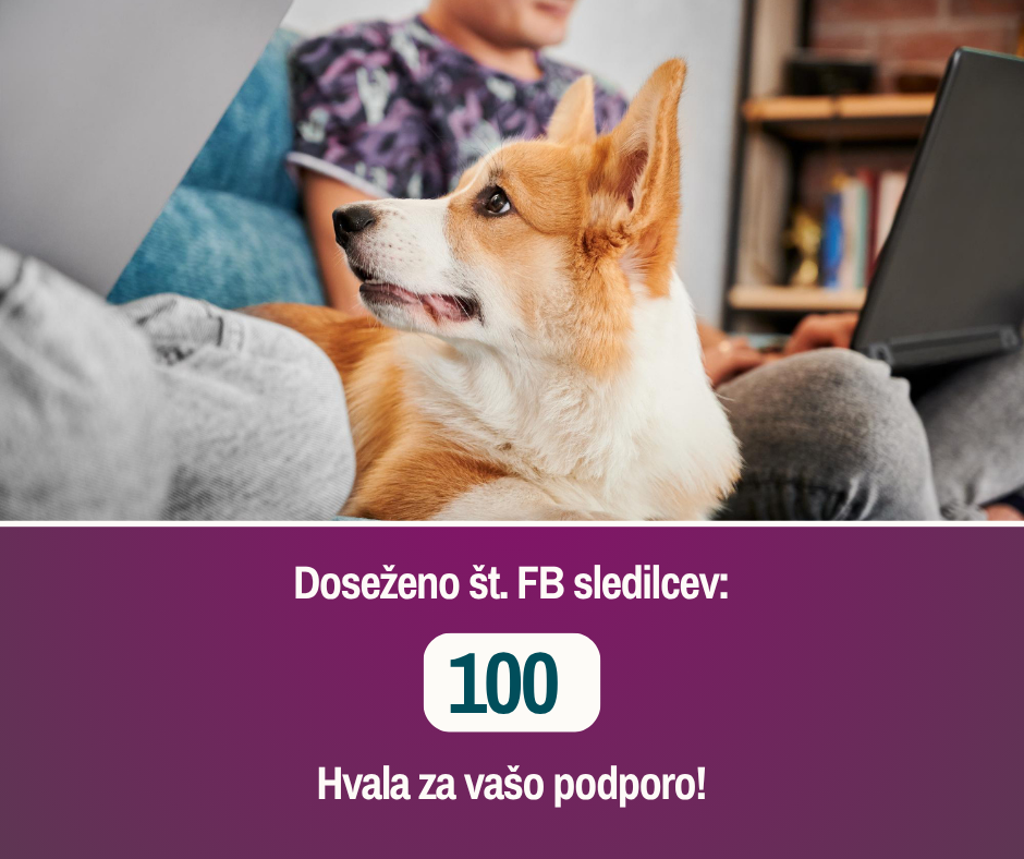 1000 obiskovalcev, 100 sledilcev, 10 mnenj – 1 misija!