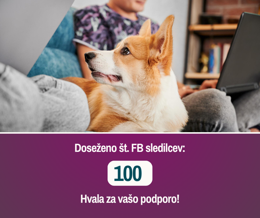 1000 obiskovalcev, 100 sledilcev, 10 mnenj – 1 misija!