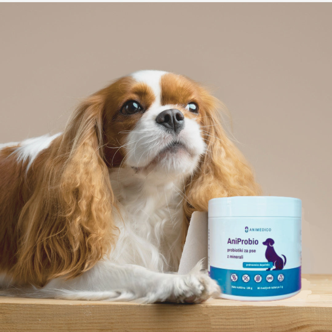 AniProbio - probiotiki za pse z minerali