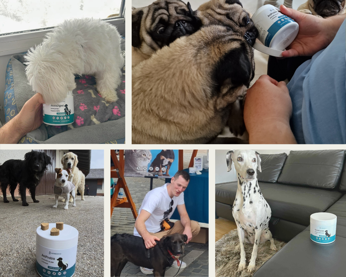 Uporabniki prehranskih dopolnil za pse in mačke