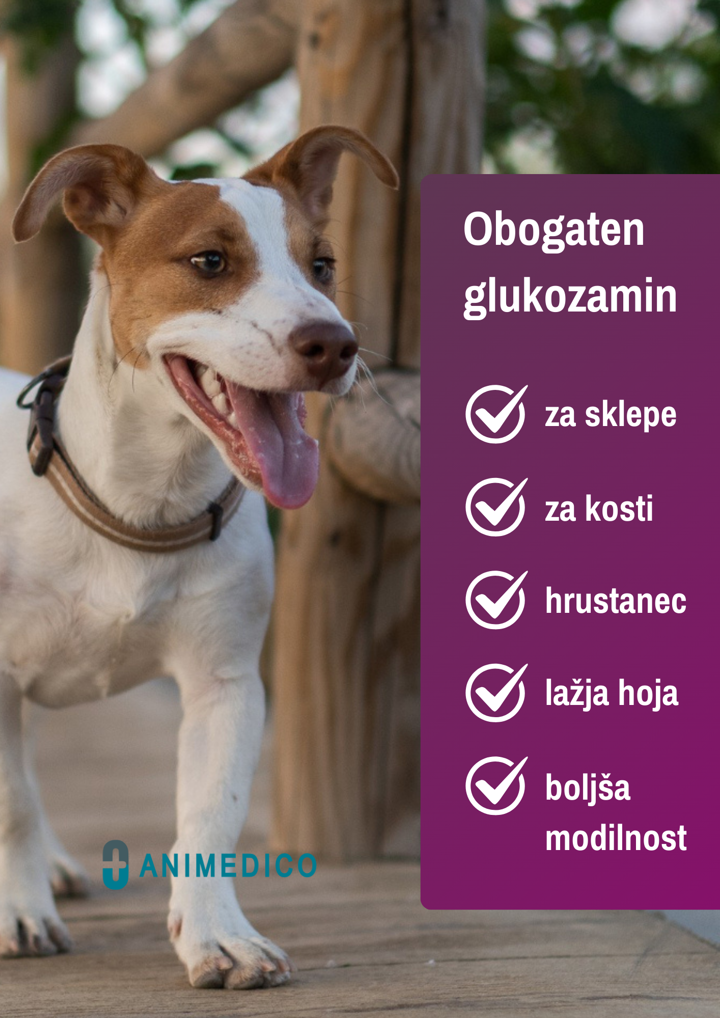 GlucoCanin - obogaten glukozamin za pse