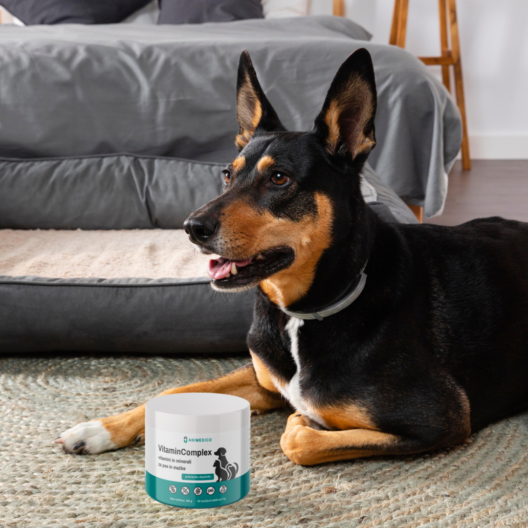 VitaminComplex - vitamini za pse in mačke