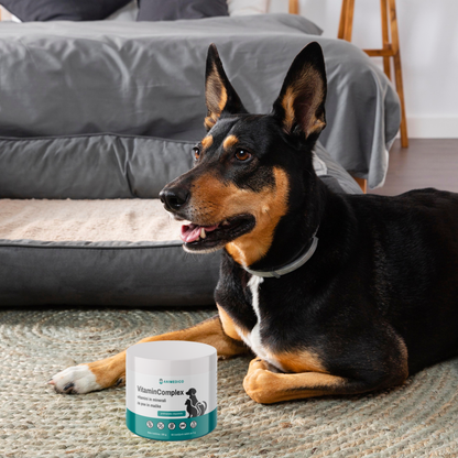 VitaminComplex - vitamini za pse in mačke