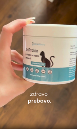 Mnenje probiotiki za mačke