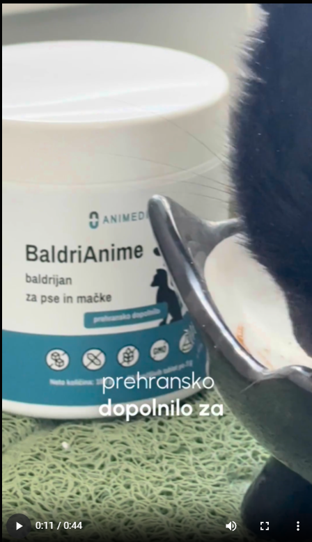 Mačka je BaldriAnime