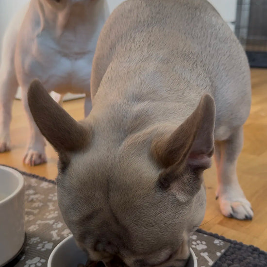 mops je anidental
