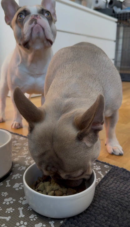 mops je anidental