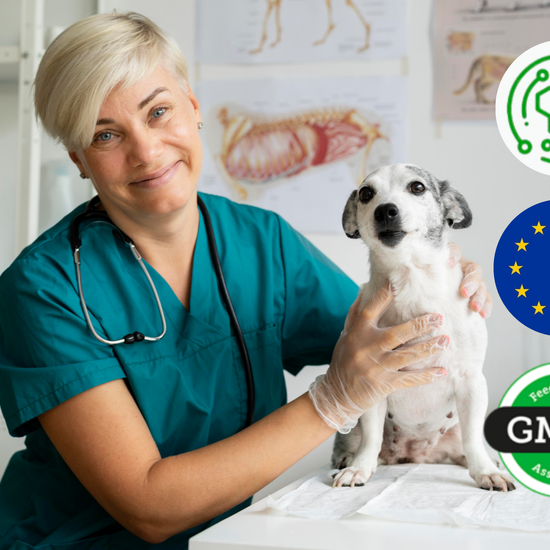 Veterinarka s psom Animedico