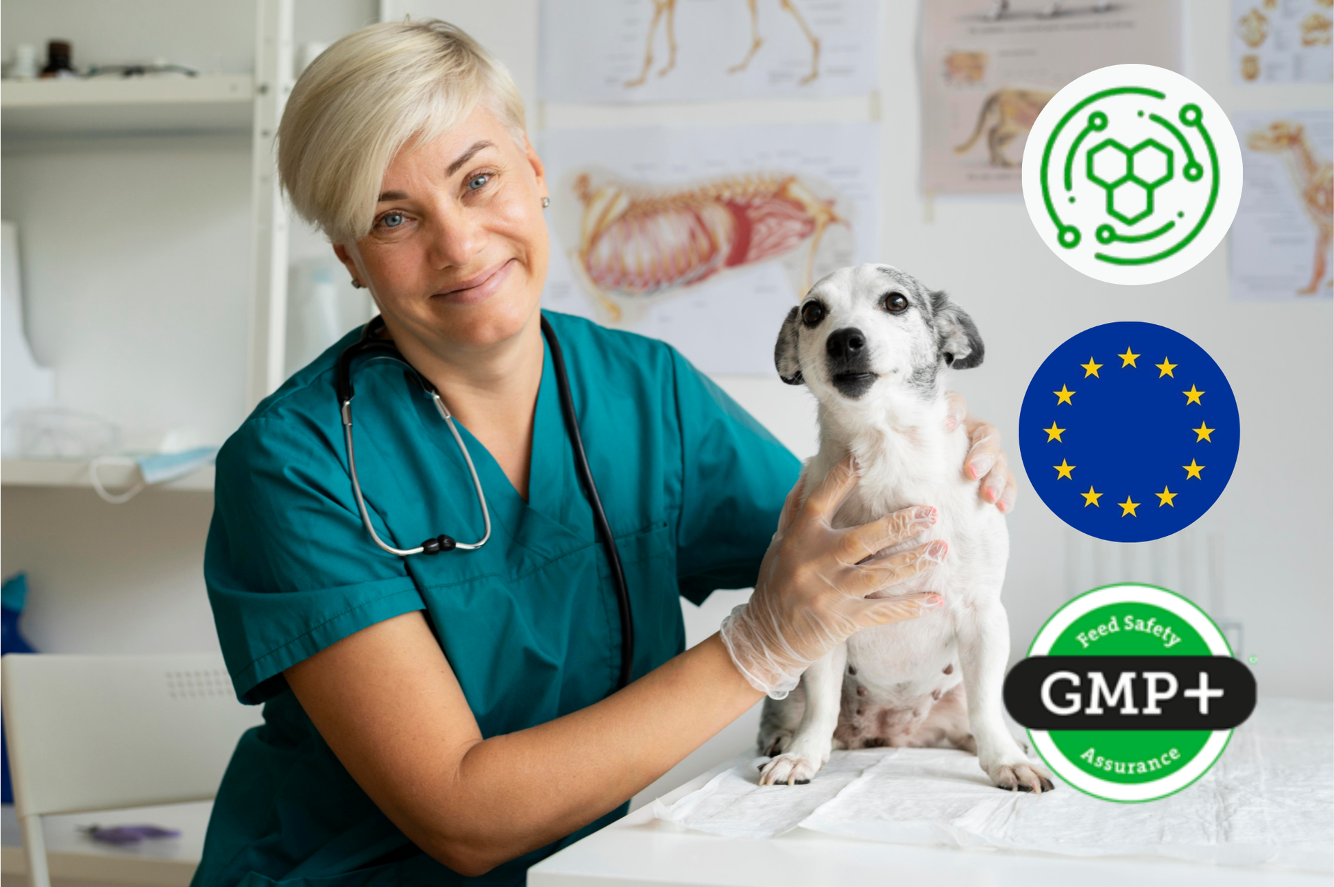 Veterinarka s psom Animedico