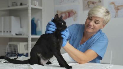 VitaminComplex - vitamini za pse in mačke